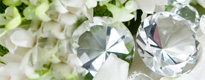 http://cremedelacreme.ca/wp-content/themes/creme/gallery/25/diamond_auction.jpg